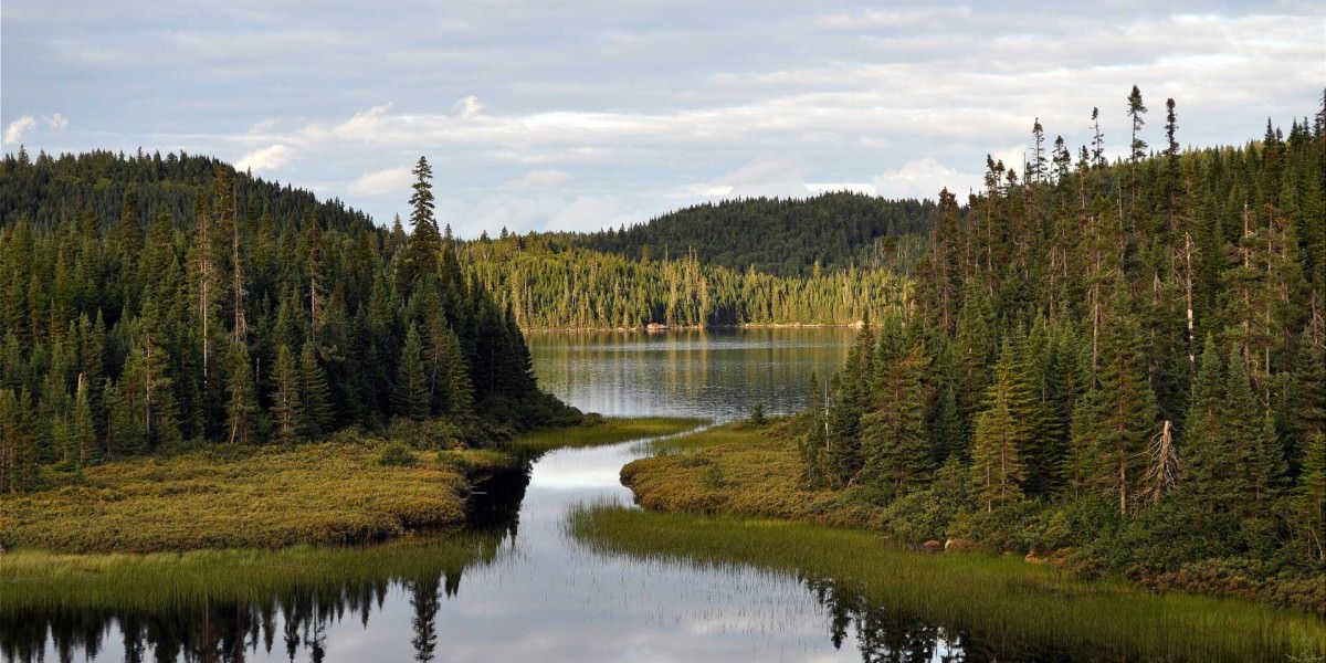 Land with pond